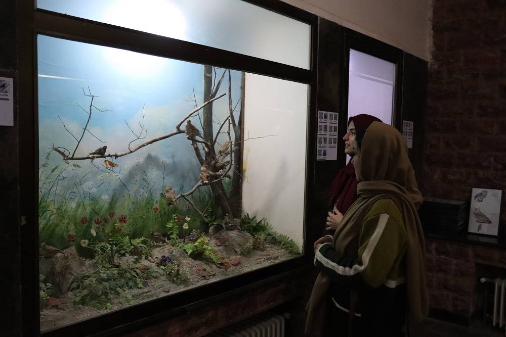 قدیمی ترین پارک ملی ایران میزبان دانشجویان علوم پزشکی خراسان شمالی